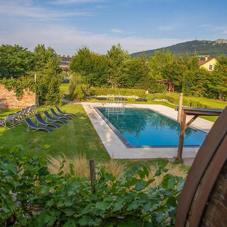 Amenity Penzion Horni Vestonice Exterior foto