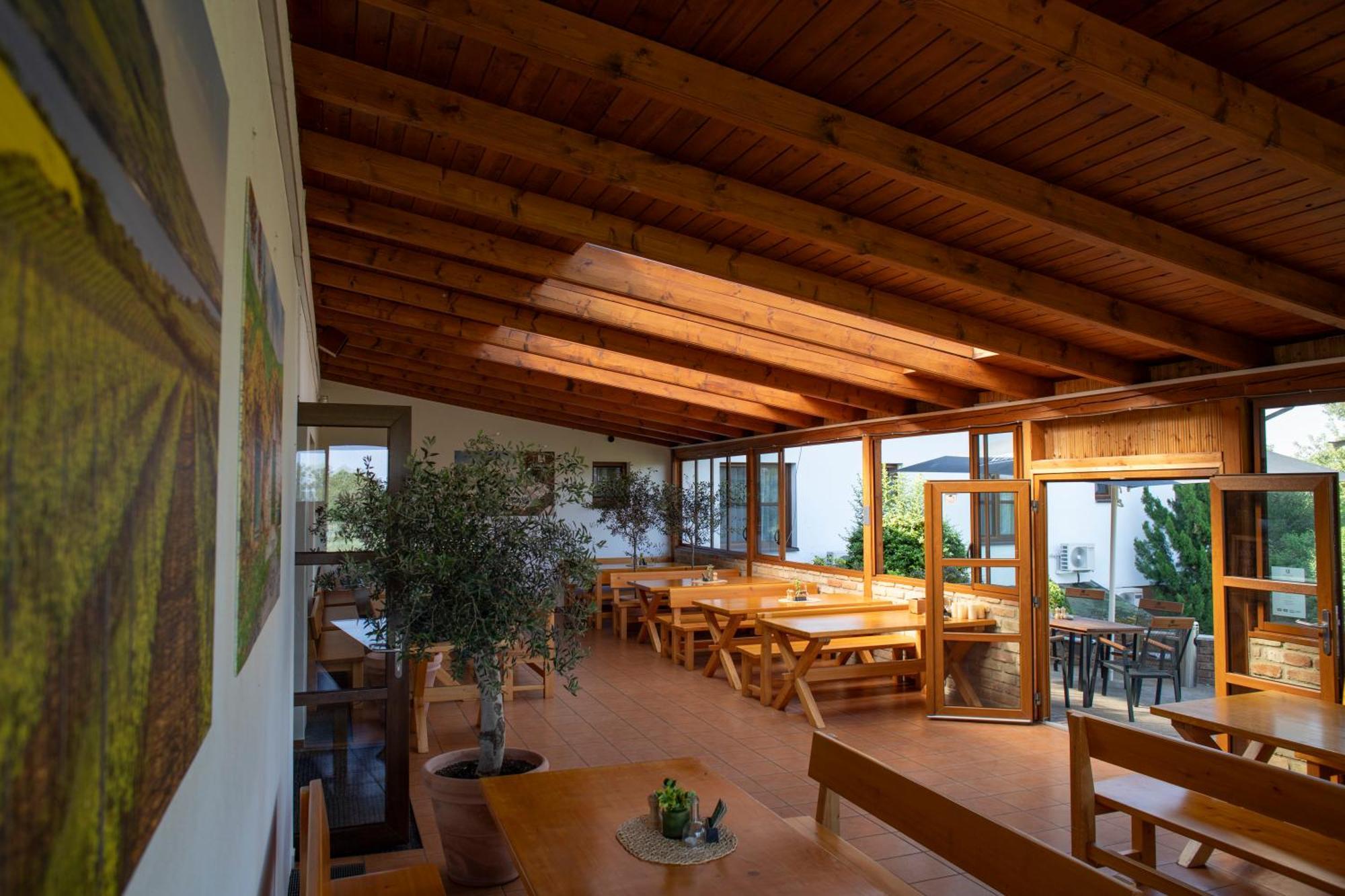 Amenity Penzion Horni Vestonice Exterior foto